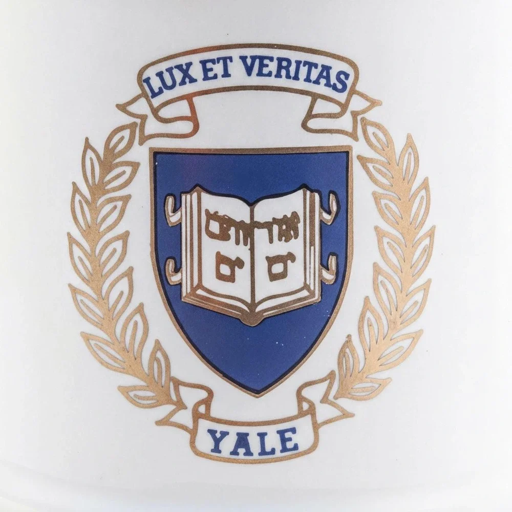 Beer Stein Yale University Vintage Ceramic White Blue College Crest Alumni Gift‎